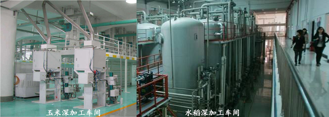 中糧集團--定制糧食機械配套電機案例