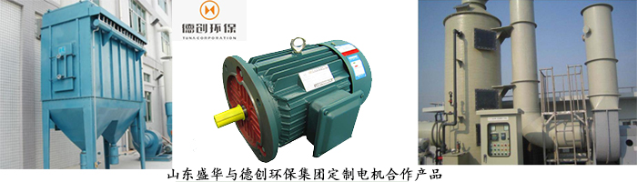 山東電機廠,環保設備專用電機,電機定制