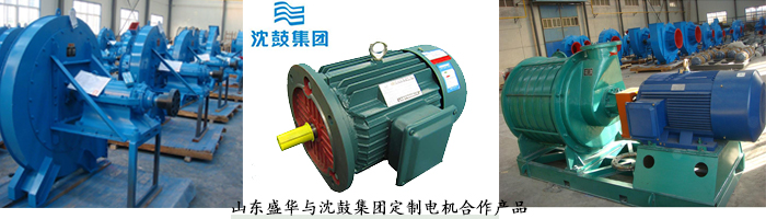 山東電機廠,風機專用電機,電機定制