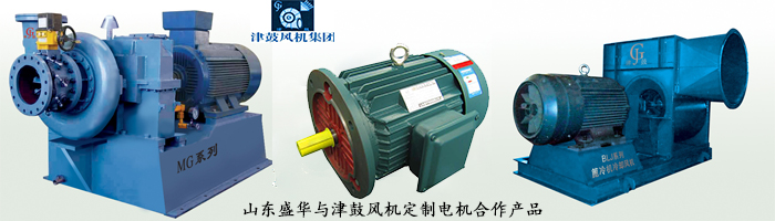 山東電機(jī)廠,風(fēng)機(jī)專用電機(jī),電機(jī)定制 山東電機(jī)廠,風(fēng)機(jī)專用電機(jī),電機(jī)定制