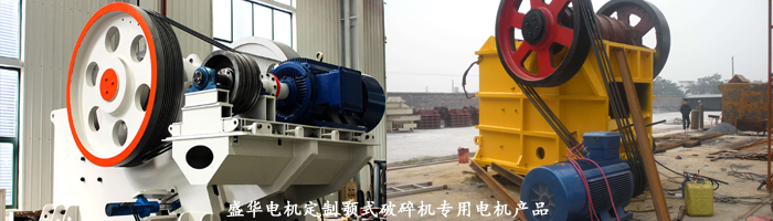 山東盛華電機生產廠家,顎式破碎機專用電機,專用電機定制