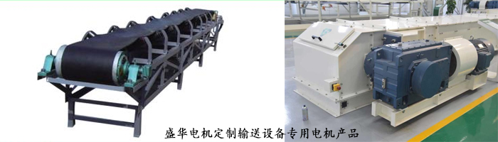 山東聊城盛華電機生產廠家,輸送設備專用電機,電機定制
