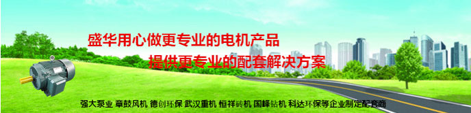 山東電機,聊城電機生產廠家,高效節能電機