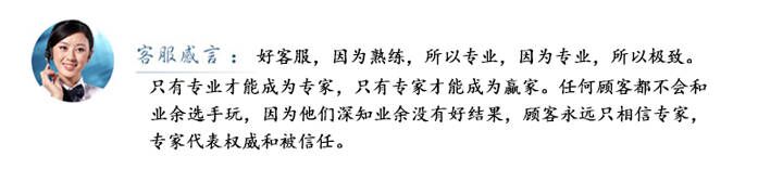 山東盛華電機生產廠家,高效節能電機,高原電機