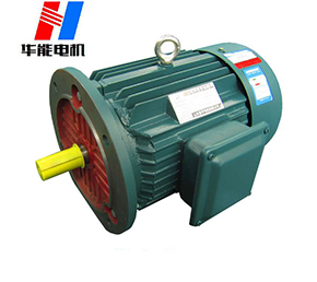 大功率電機(jī).山東盛華電機(jī)生產(chǎn)廠家