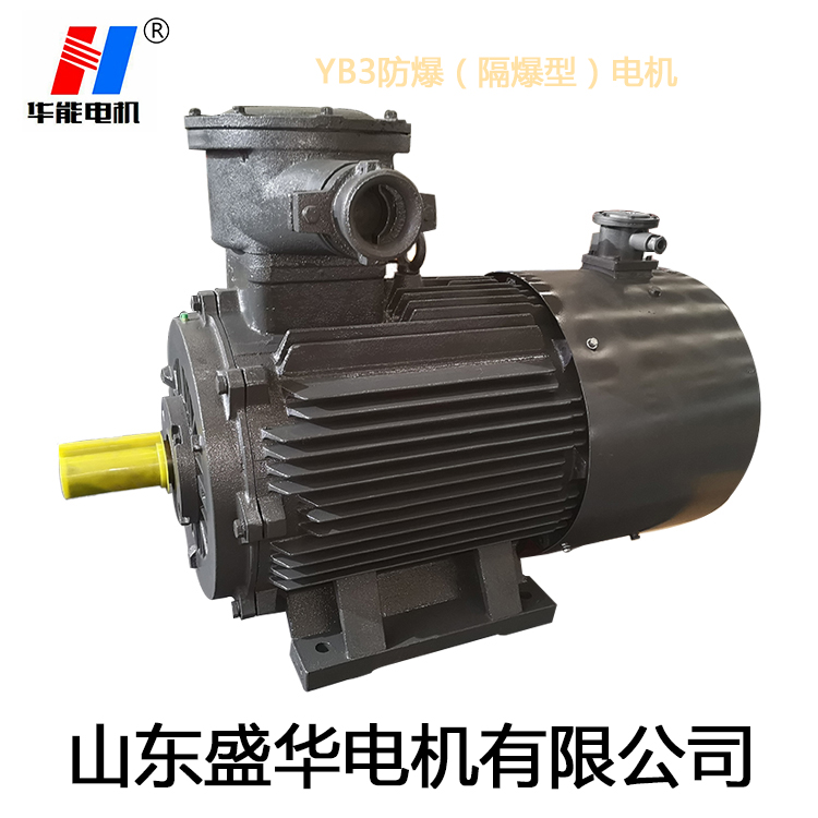 山東變頻電機,電機生產廠家,大功率防爆電機,電機防護等級