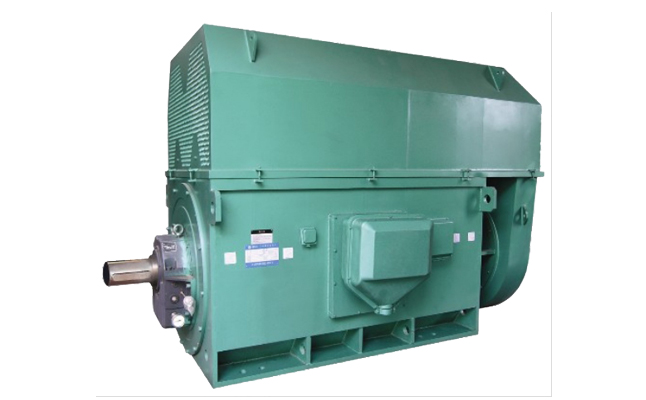 山東電機廠,高效節能三相異步電動機,高效節能電動機,三相電動機