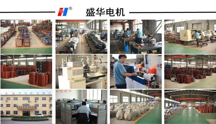 山東電機廠,高效節能三相異步電動機,高效節能電動機,三相電動機