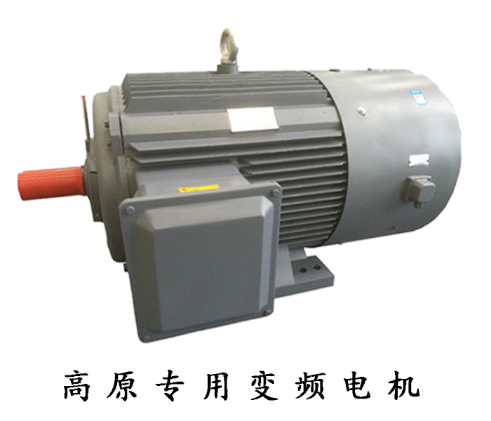 高原專用變頻電機(jī)