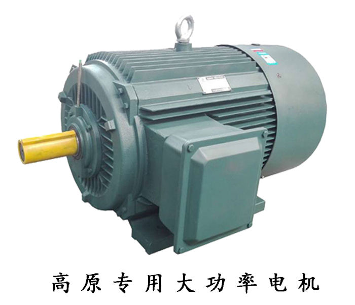 高原專用大功率電機(jī)