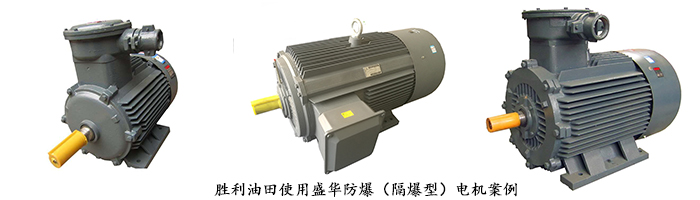 山東電機廠,大功率防爆電機,大功率電機,防爆電機