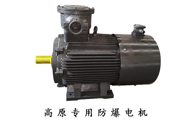 山東電機(jī)廠,高原電機(jī),三相電動(dòng)機(jī)