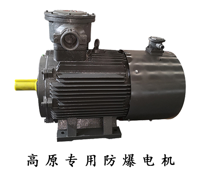 山東電機廠,高原電機,電機廠家