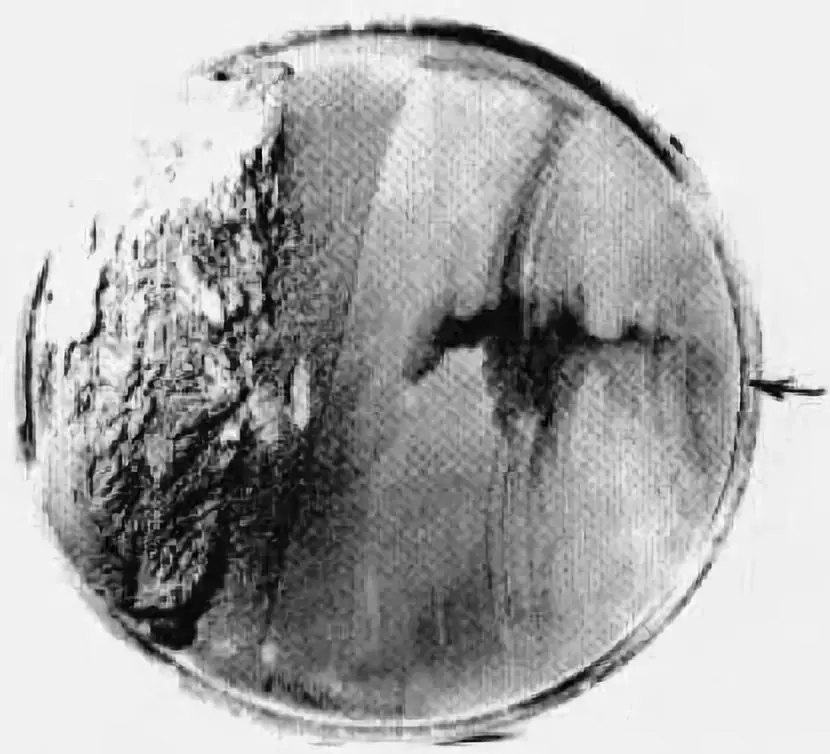 山東電機廠,山東電機廠家,三相異步電機,盛華電機廠