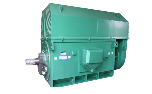 山東電機廠,盛華電機,大功率電機,高壓電機