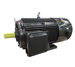 變頻防爆電動機 變頻防爆電動機