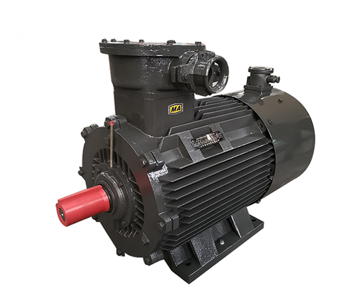 變頻防爆電機,變頻防爆電機生產廠家,防爆變頻電機,隔爆型變頻電機