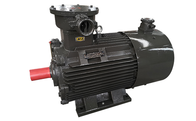 防爆電機廠,變頻電機,防爆電機,變頻防爆電動機