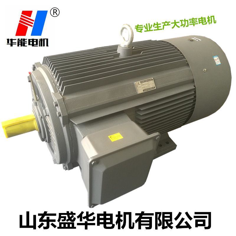 山東電機廠,電機廠,大功率電機,電機