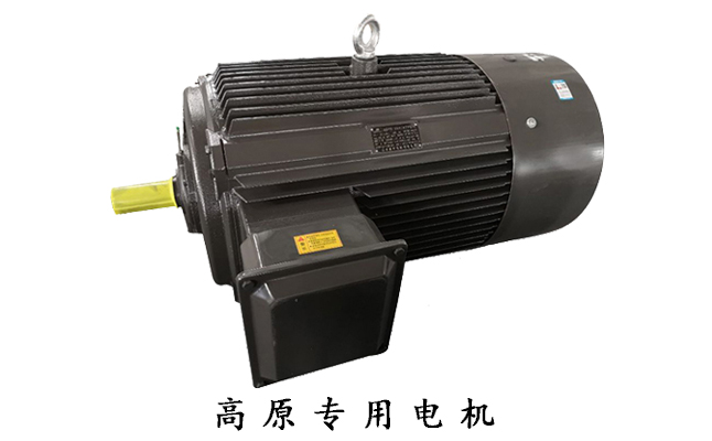 高原電機廠,高原電機,電機生產廠家