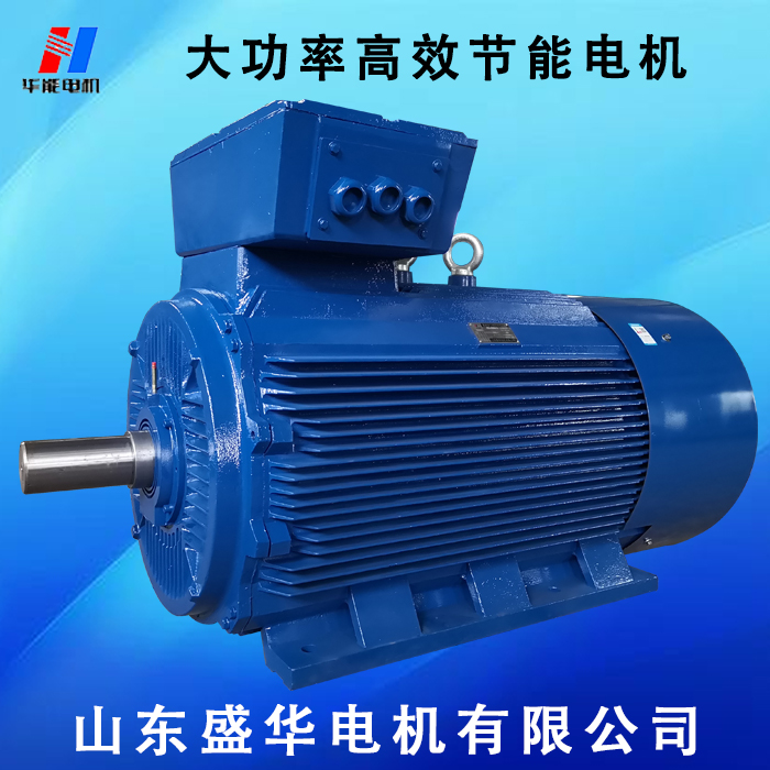 山東盛華大功率電機廠 盛華電機,電機廠,大功率電機,電機運行電壓