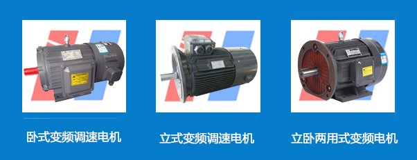山東盛華,變頻調速電機