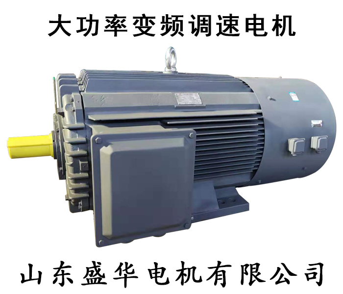 大功率電機(jī)