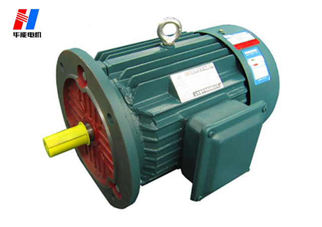 山東盛華電機(jī)廠-高效率電動機(jī)