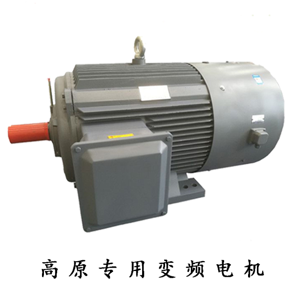 GYP高原專用變頻電機(jī)