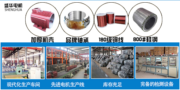 山東盛華電機生產(chǎn)廠家