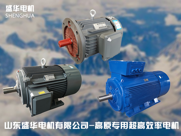 山東高原電機(jī)廠-高原專用電機(jī)