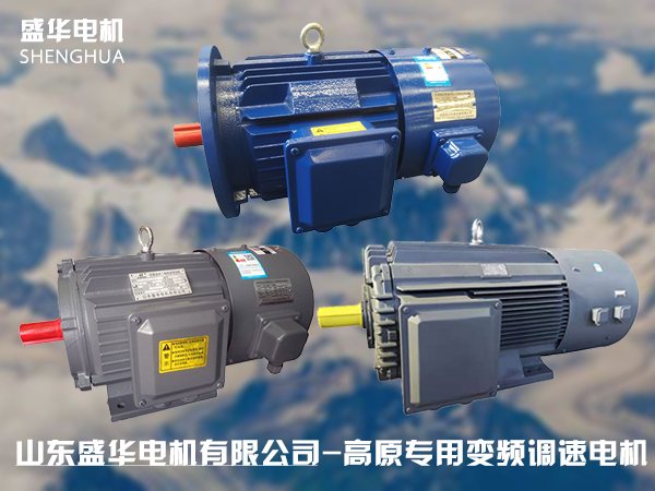 山東高原電機廠-高原專用變頻電機